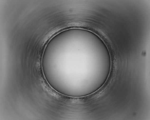 X0000111381025200907241305