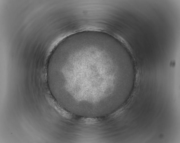 X0000111381027200907241305