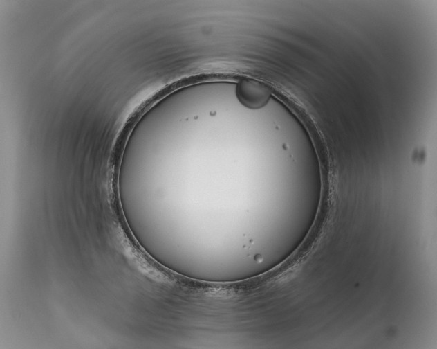 X0000111381029200907241305