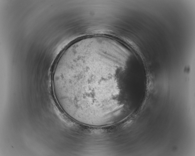 X0000111381031200907241305