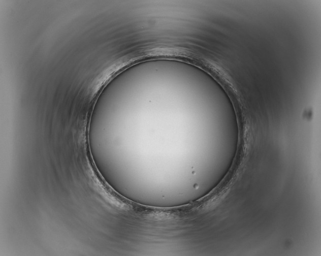 X0000111381033200907241305