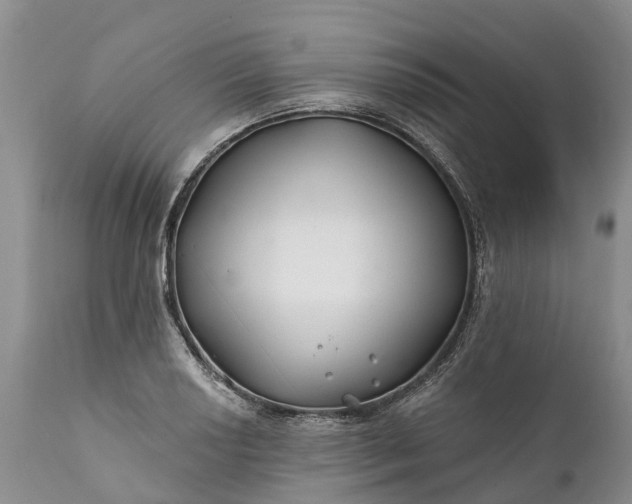 X0000111381034200907241305