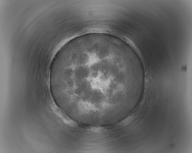 X0000111381035200907241305