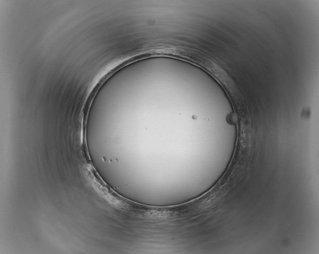 X0000111381036200907241305