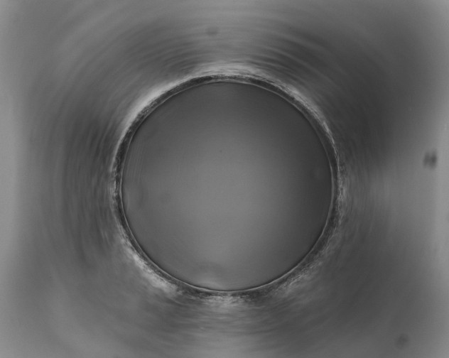 X0000111381037200907241305