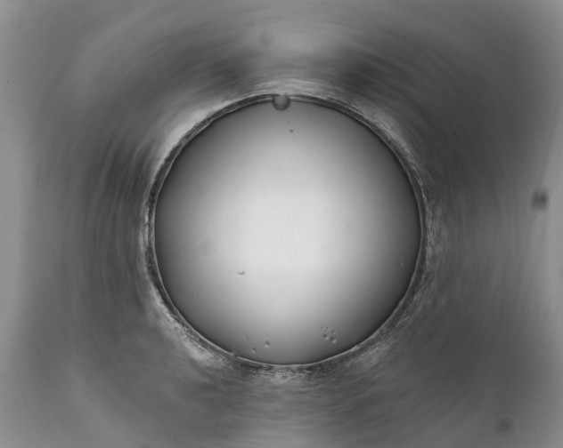 X0000111381040200907241305