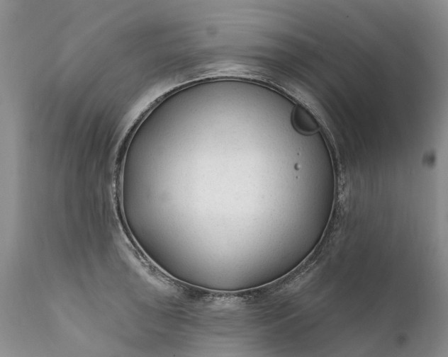 X0000111381043200907241305