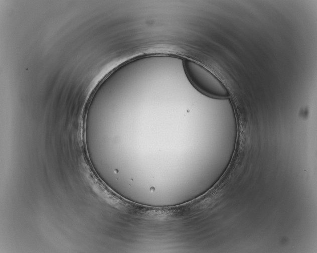 X0000111381044200907241305