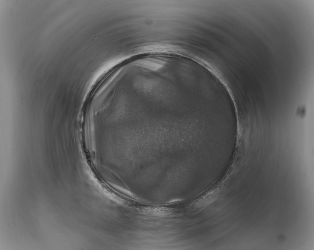 X0000111381045200907241305