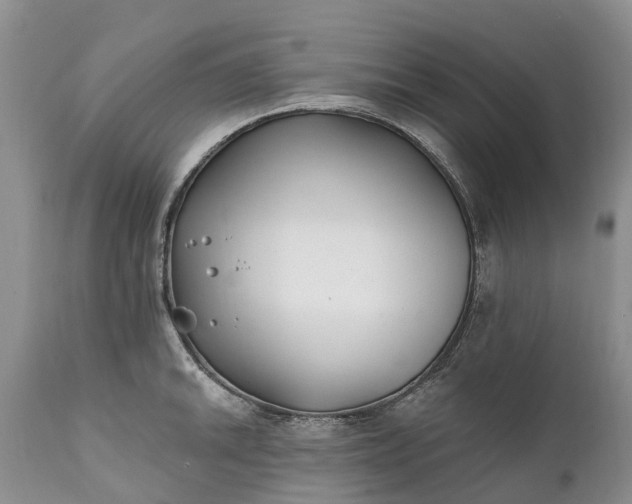 X0000111381046200907241305