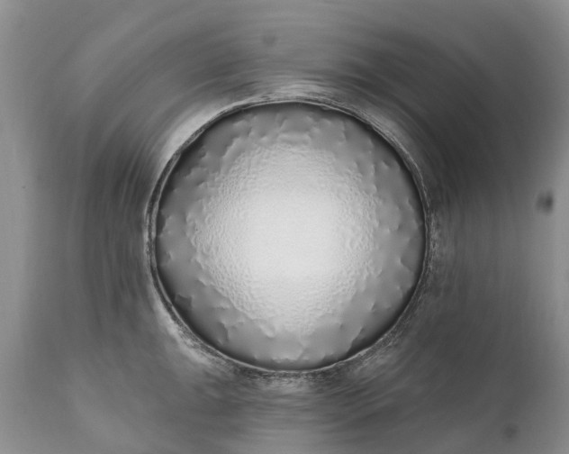 X0000111381047200907241305