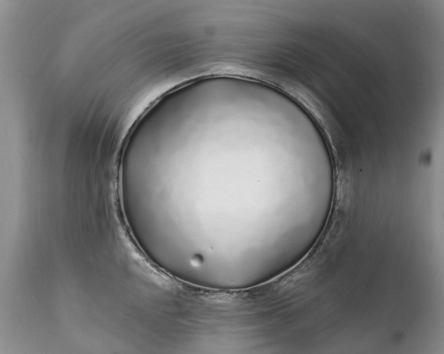 X0000111381048200907241305