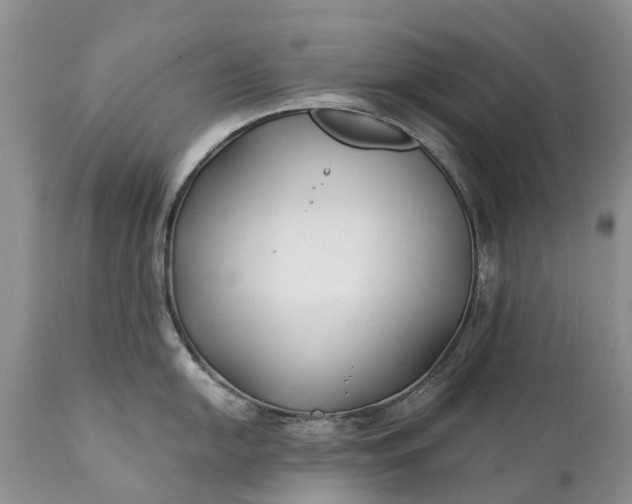 X0000111381054200907241305