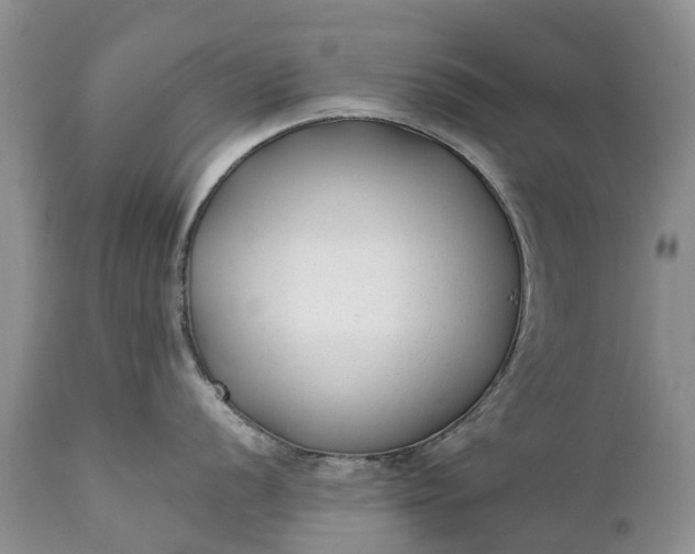 X0000111381056200907241305