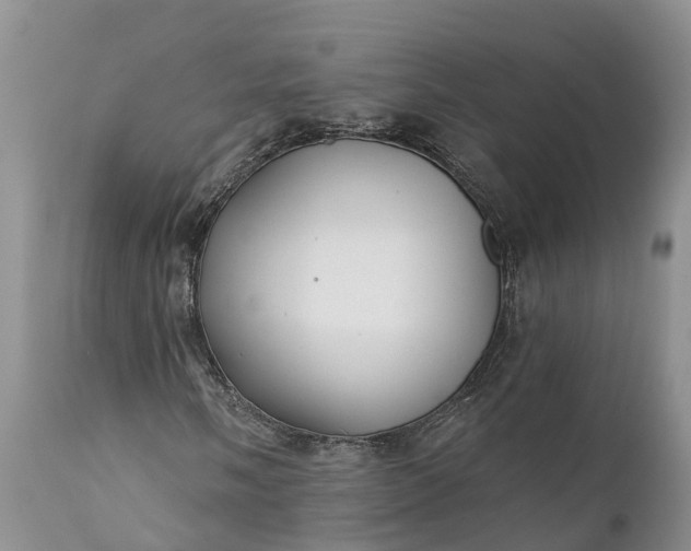 X0000111381058200907241304