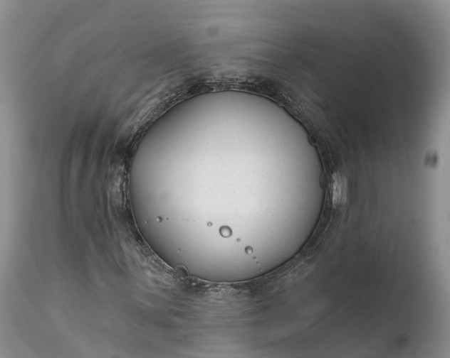 X0000111381059200907241304