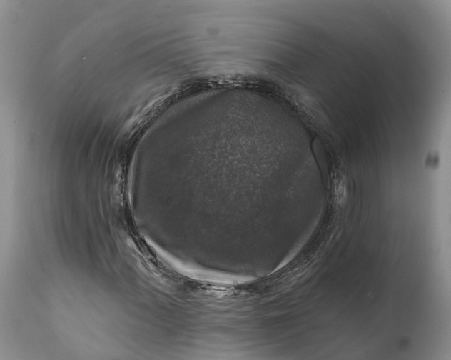 X0000111381060200907241304