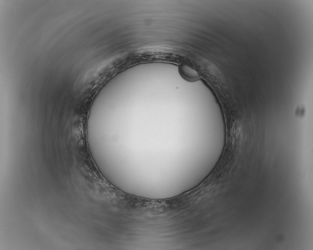 X0000111381062200907241304