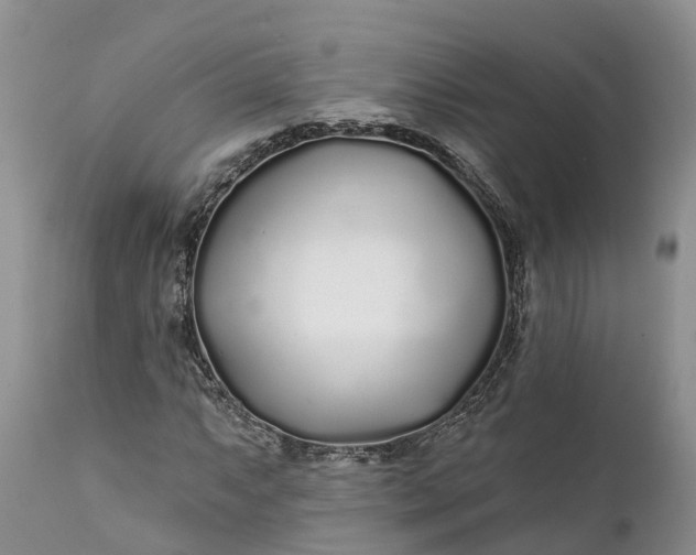 X0000111381063200907241304