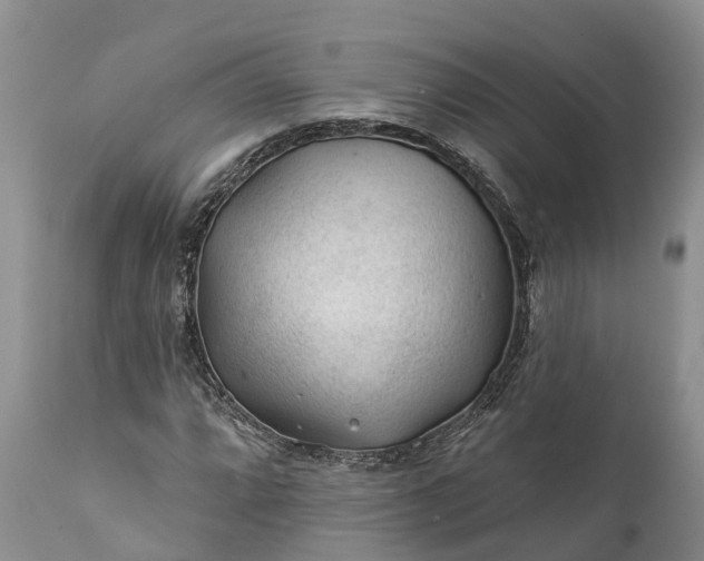 X0000111381064200907241304