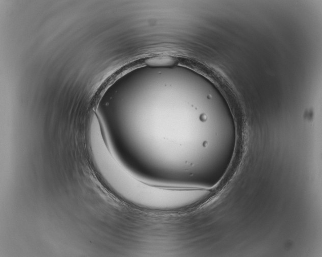 X0000111381065200907241304