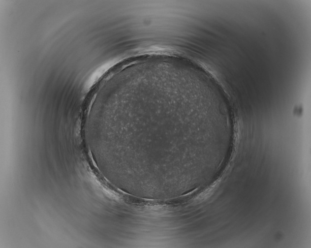 X0000111381066200907241304