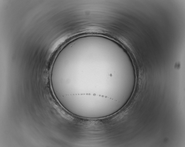 X0000111381067200907241304