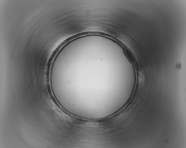 X0000111381068200907241304