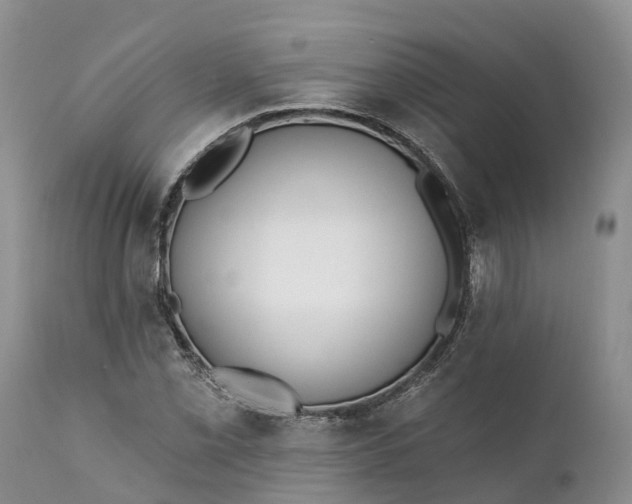 X0000111381069200907241304