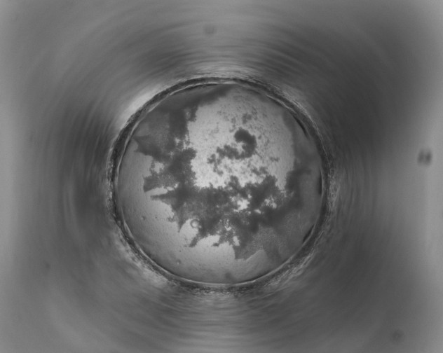 X0000111381071200907241304