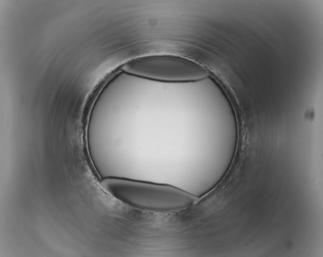 X0000111381072200907241304