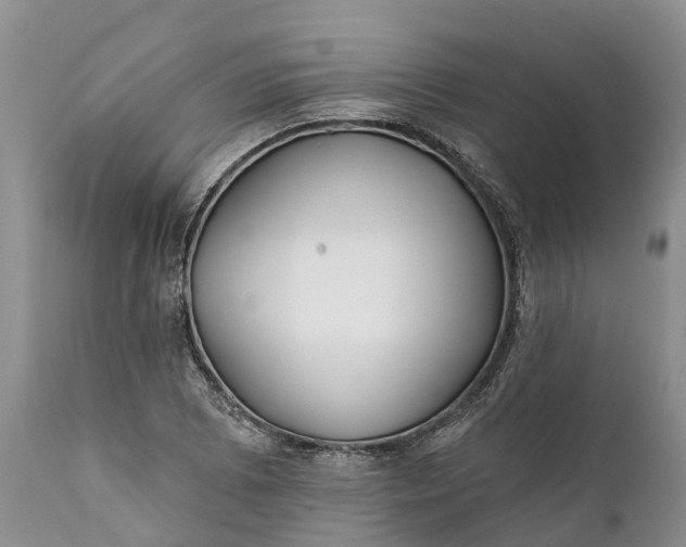 X0000111381073200907241304