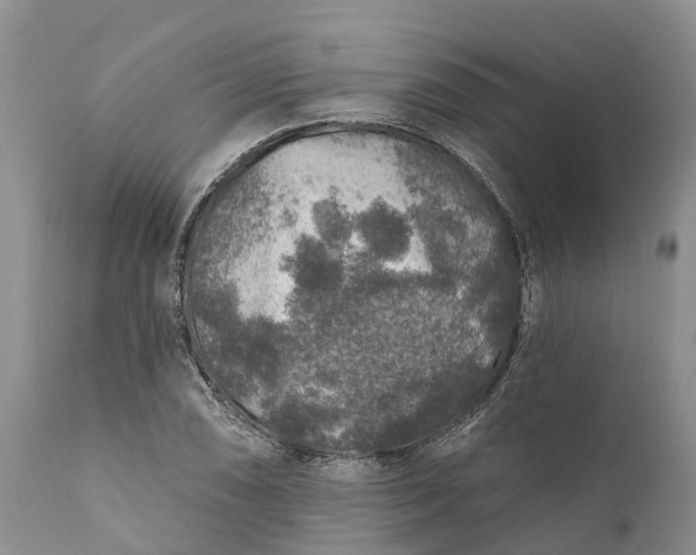 X0000111381074200907241304