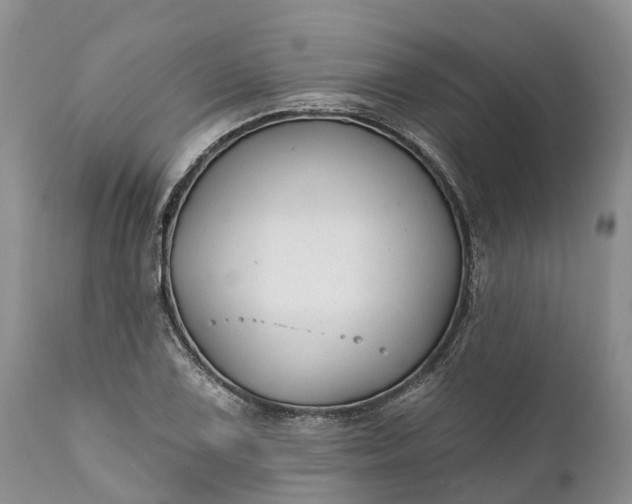 X0000111381075200907241304