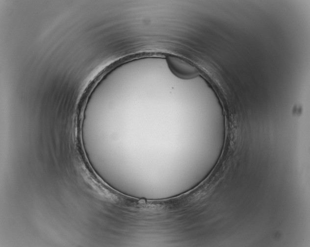 X0000111381076200907241304