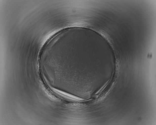 X0000111381077200907241304