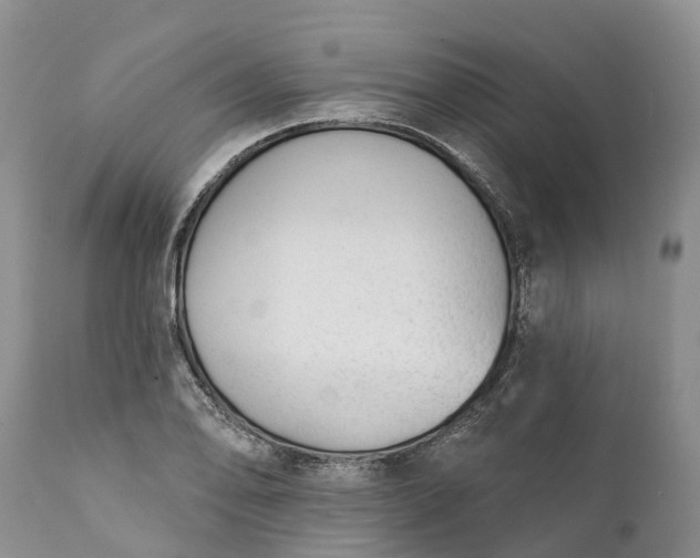 X0000111381078200907241304