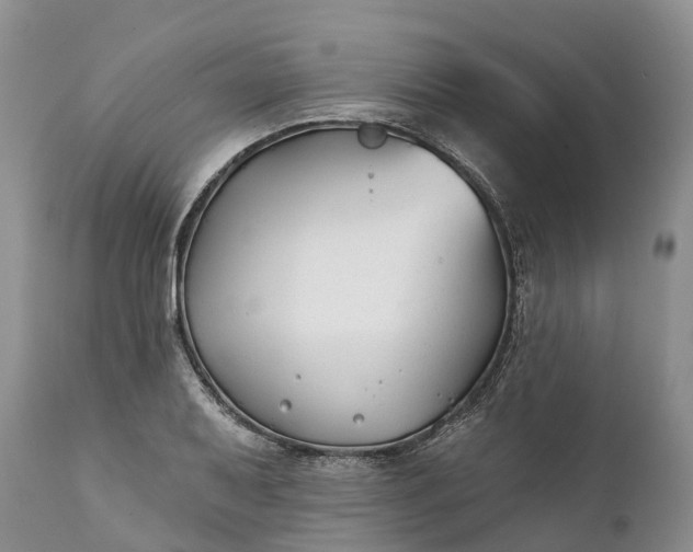 X0000111381079200907241304