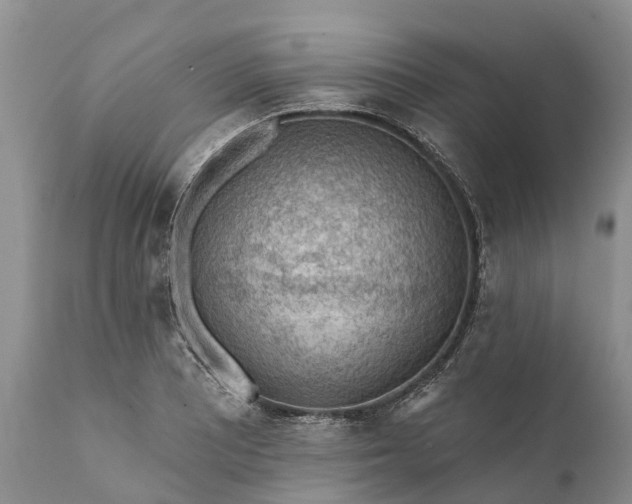 X0000111381081200907241304