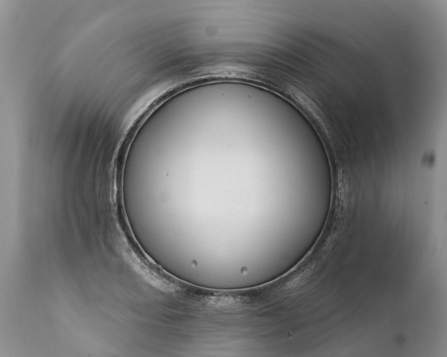 X0000111381082200907241304