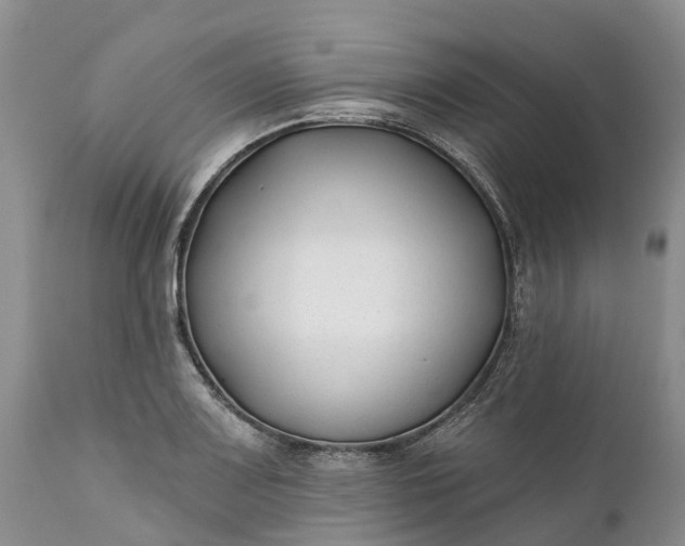 X0000111381083200907241304