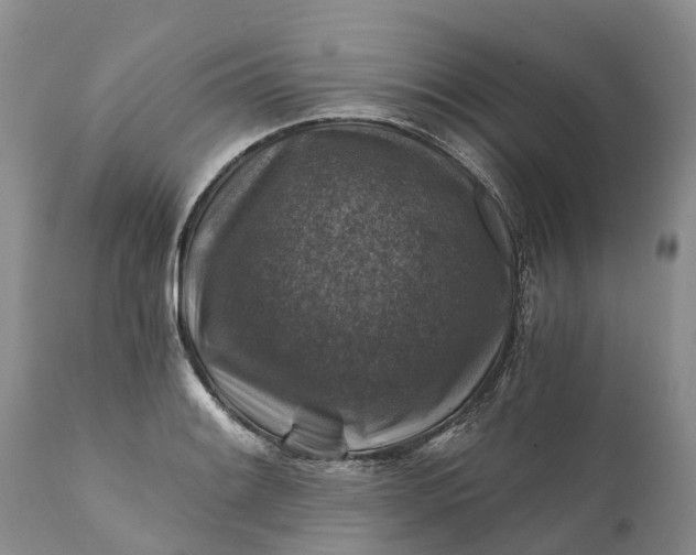 X0000111381084200907241304