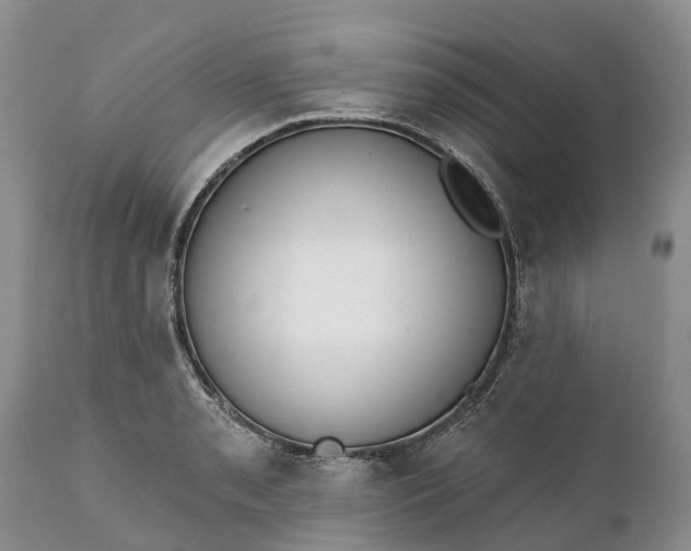 X0000111381085200907241304