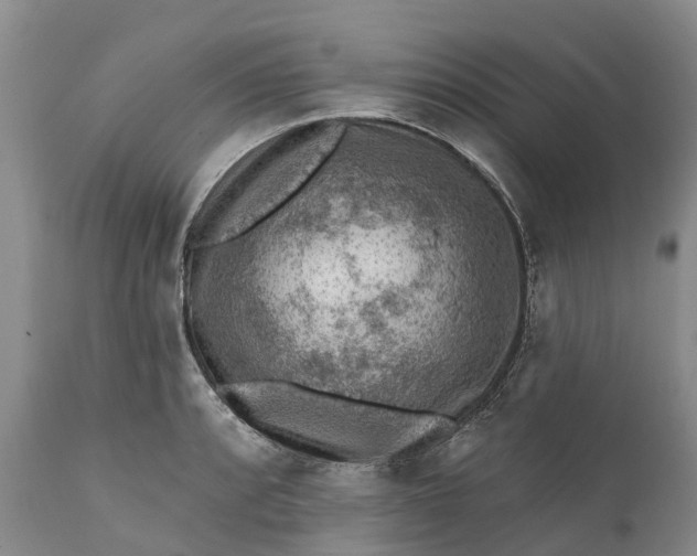 X0000111381088200907241304