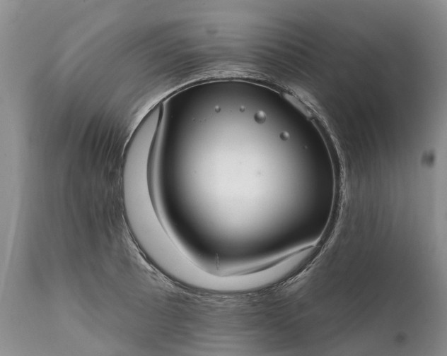 X0000111381089200907241304