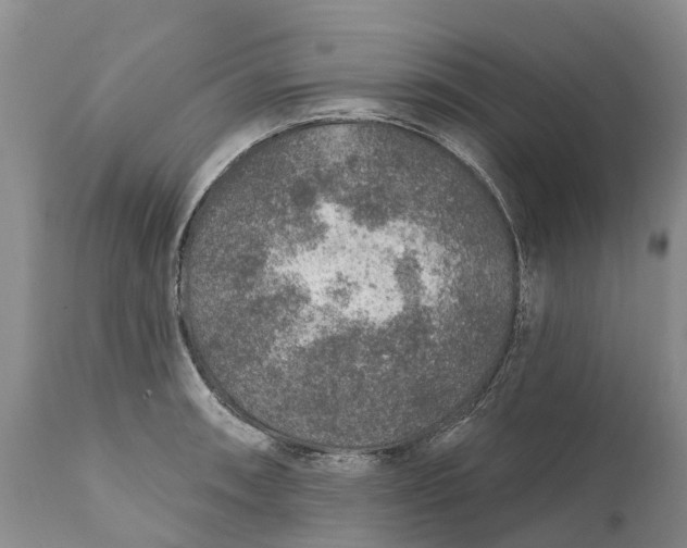 X0000111381090200907241304