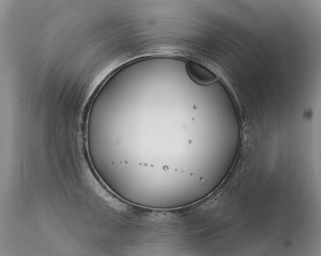 X0000111381091200907241304