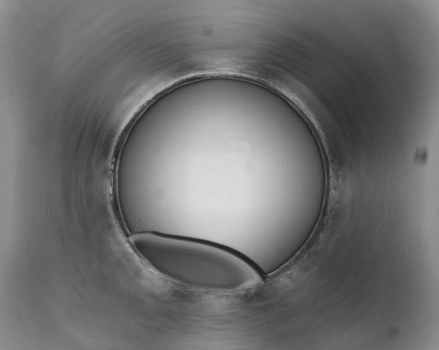 X0000111381093200907241304