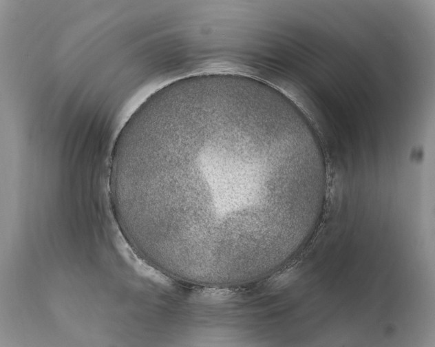 X0000111381094200907241304