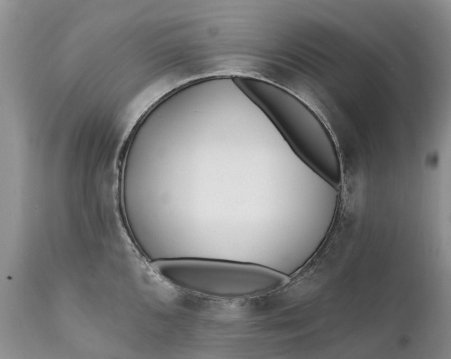 X0000111381096200907241304